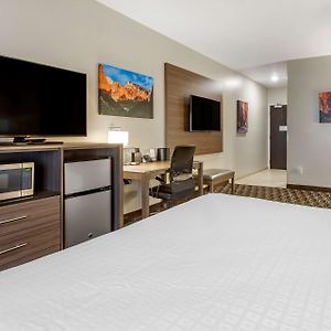 King Room Sofa Bed Roll Shower Disability Access